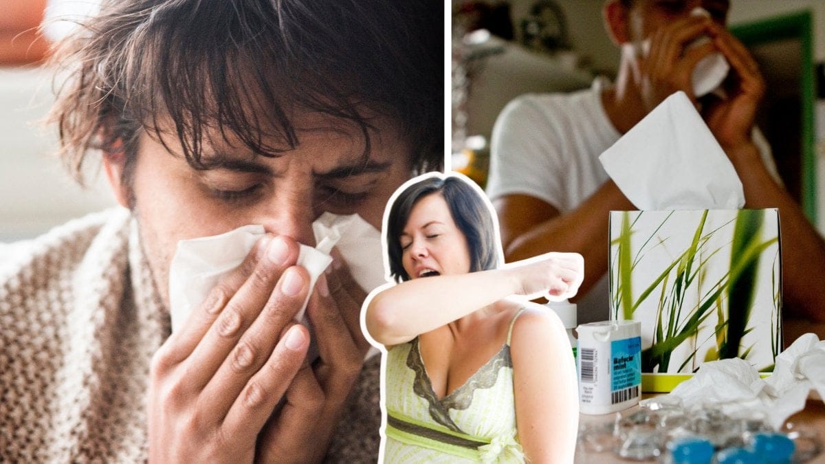 Bild på pollen och förkylning 