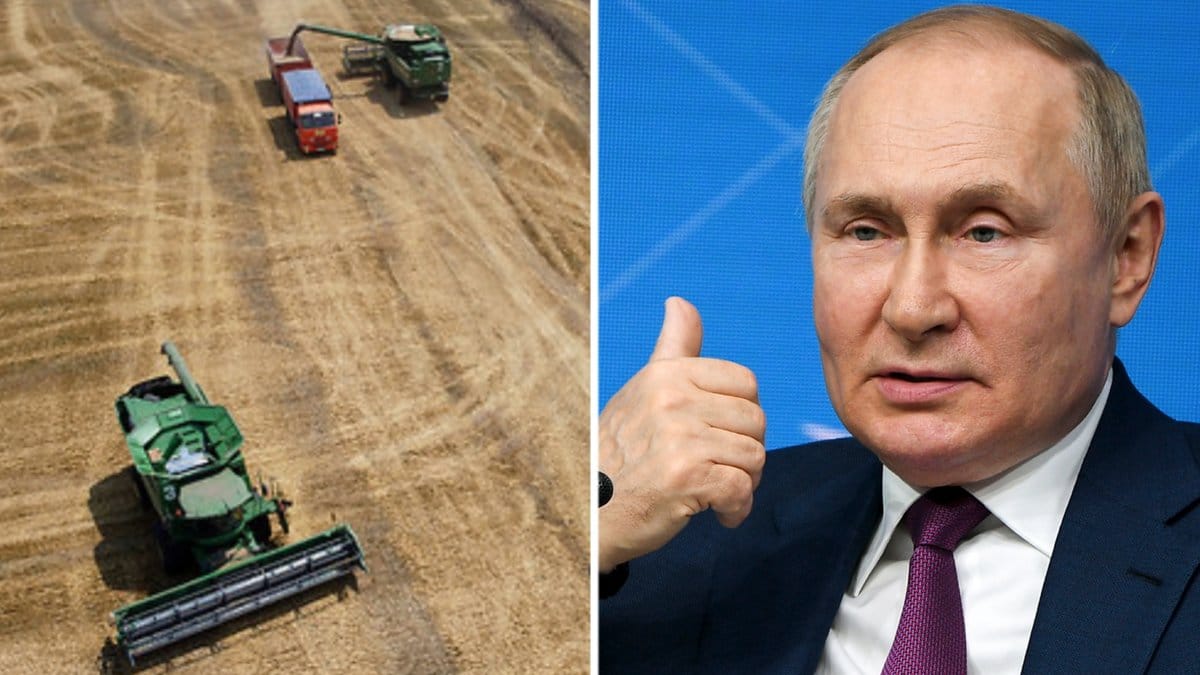 Överenskommelsen ska även underlätta för Ryssland att exportera spannmål och gödningsmedel.