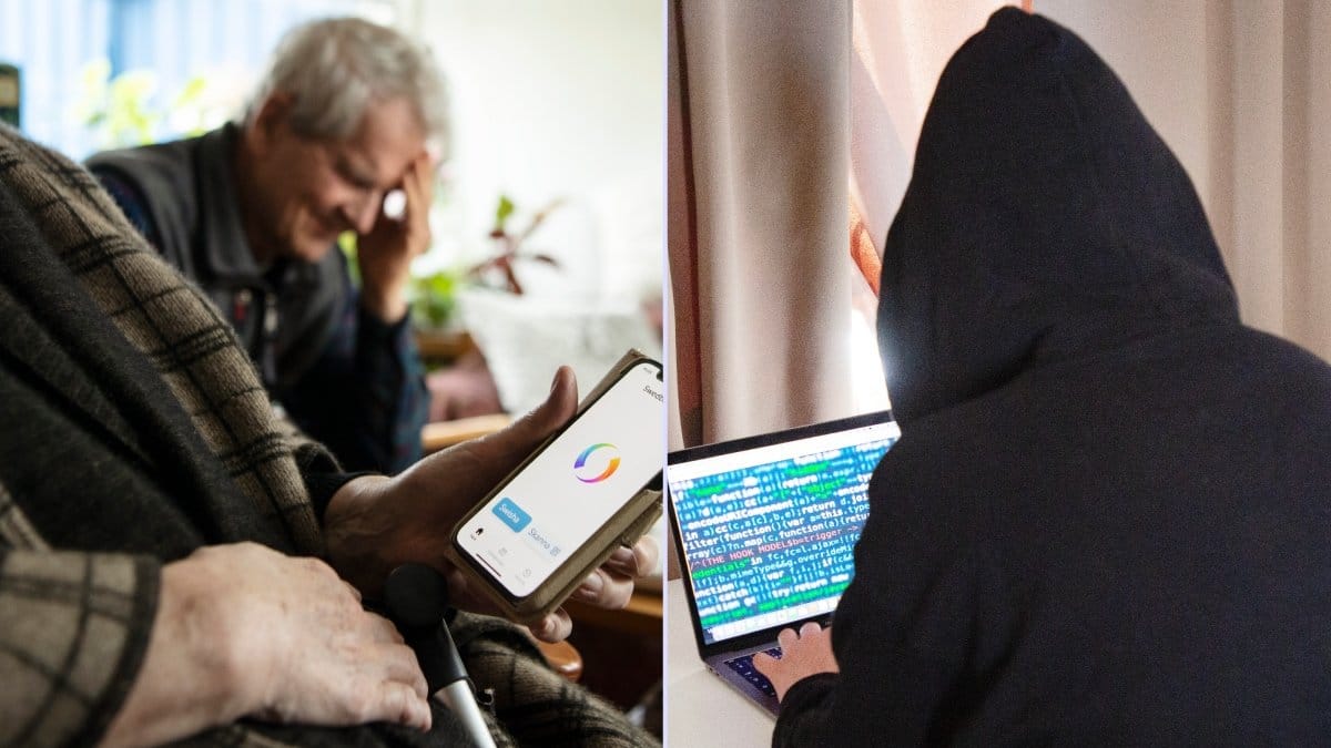 Myndigheter utnyttjas av kriminella nätverk.