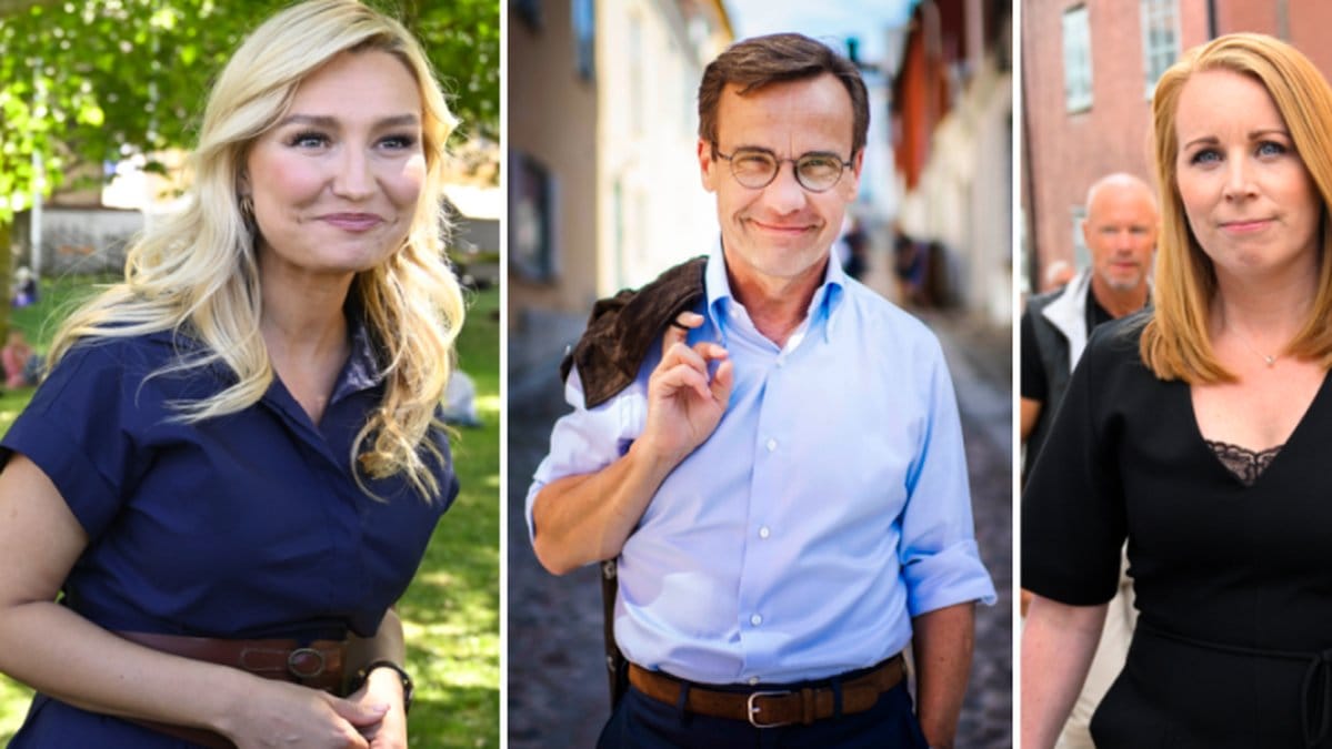 Hur bra koll har du på tänderna hos de svenska partiledarna?