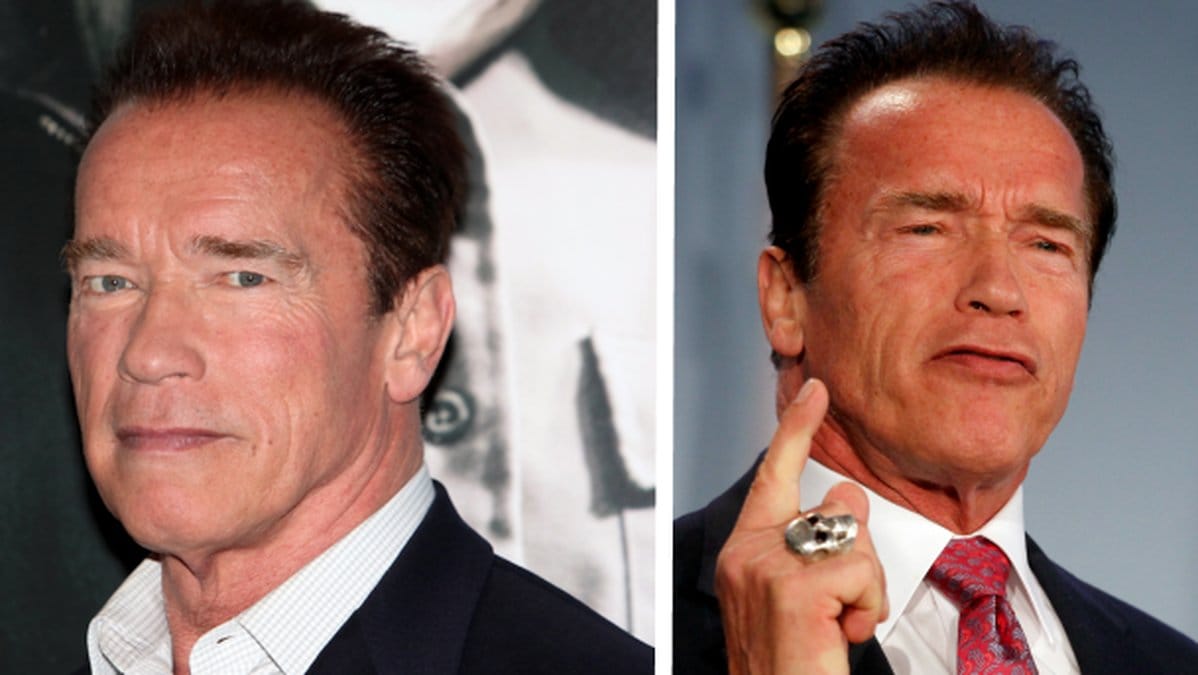 Arnold Schwarzenegger, Reddit