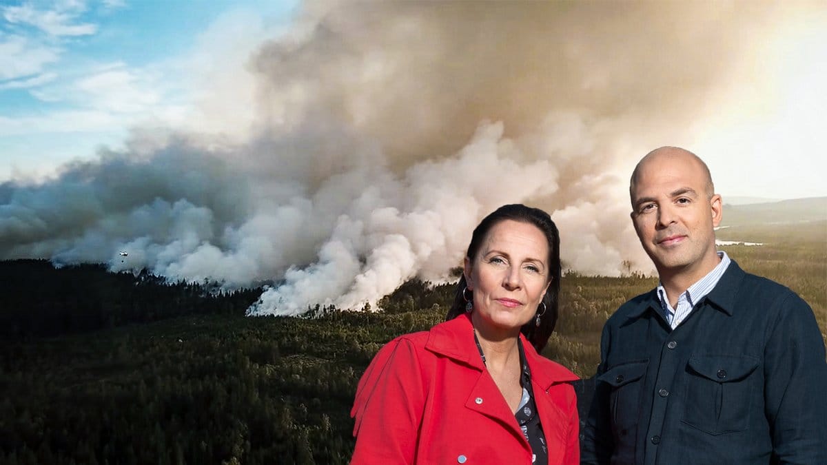 en svårthårig kvinna och en rakad man, en skog med rök