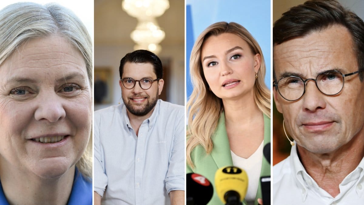 Har du koll på vad de svenska partiledarna har pluggat?