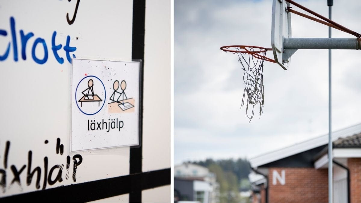 Skoltavla och basketkorg