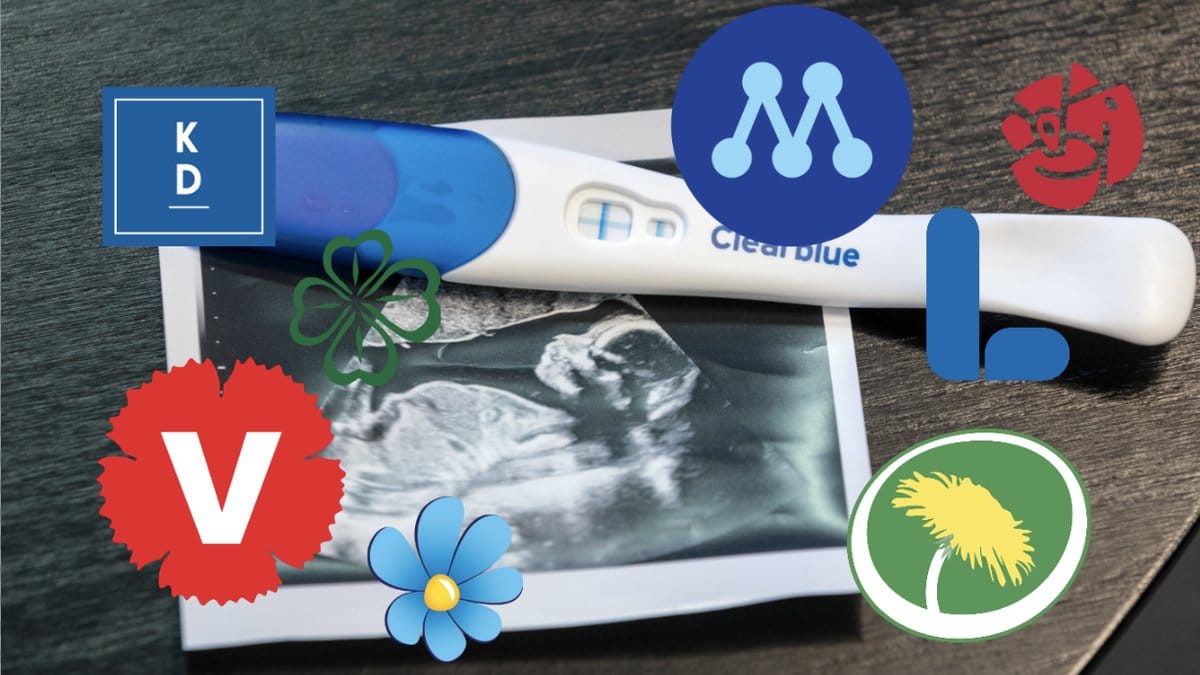 Det tycker riksdagspartierna i abortfrågan