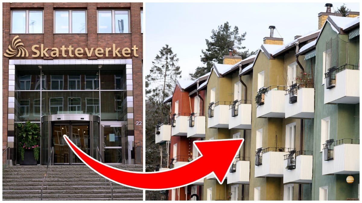 Skatteverket ska genomföra en kontrollinsats.