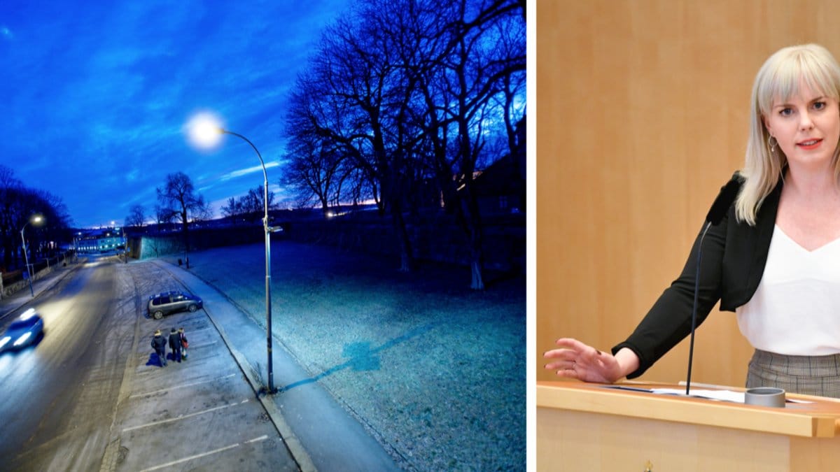 Linda Westerlund Snecker (V) vill se hårdare straff för sexköpare.