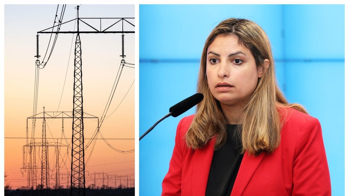 Vänsterpartiet vill ändra på prissättningen för el.