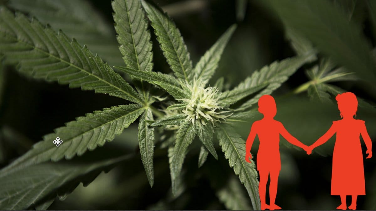 Cannabislakemedel-for-barn-ska-tillatas-i-Sverige