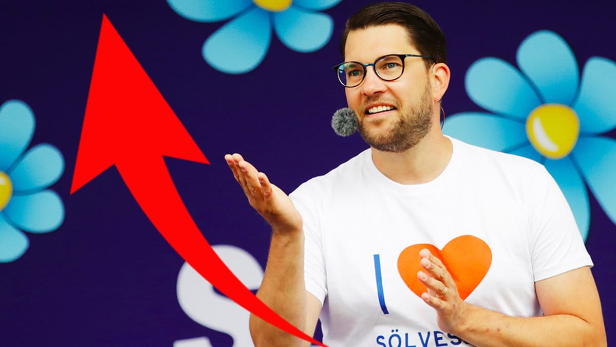 Det går bra för Sverigedemokraterna just nu. 
