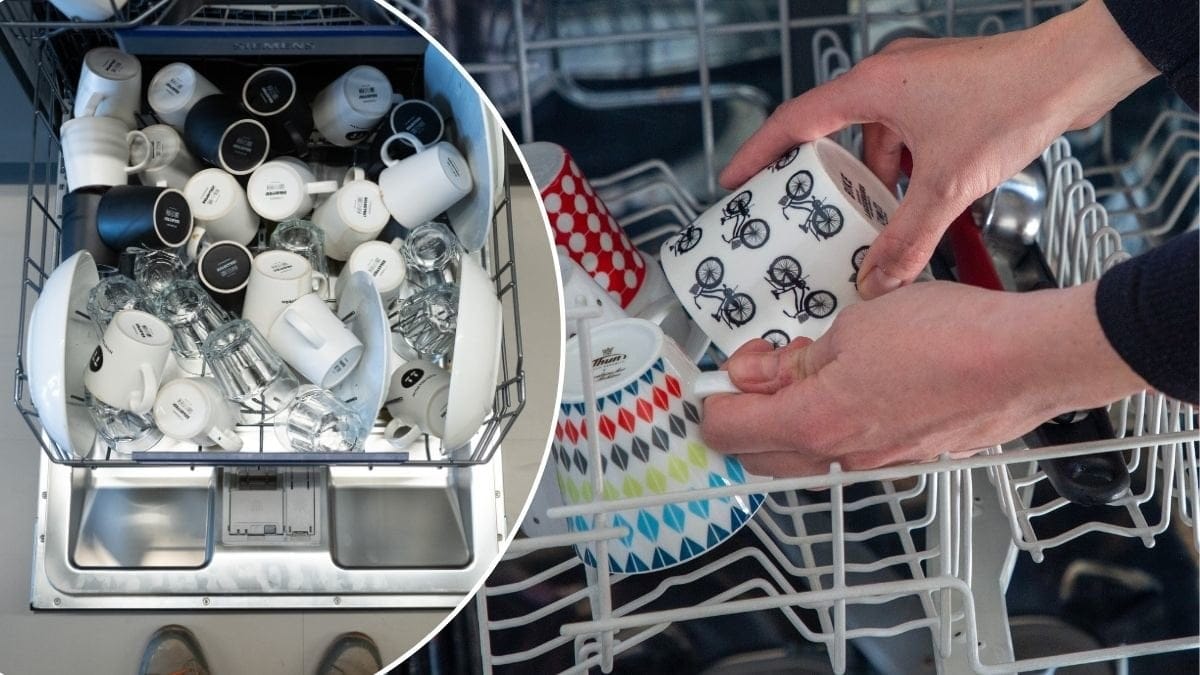 Bilder på disk i en diskmaskin.