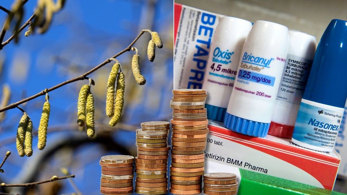 Pollenallergiker? Då bör du ha koll på det här.