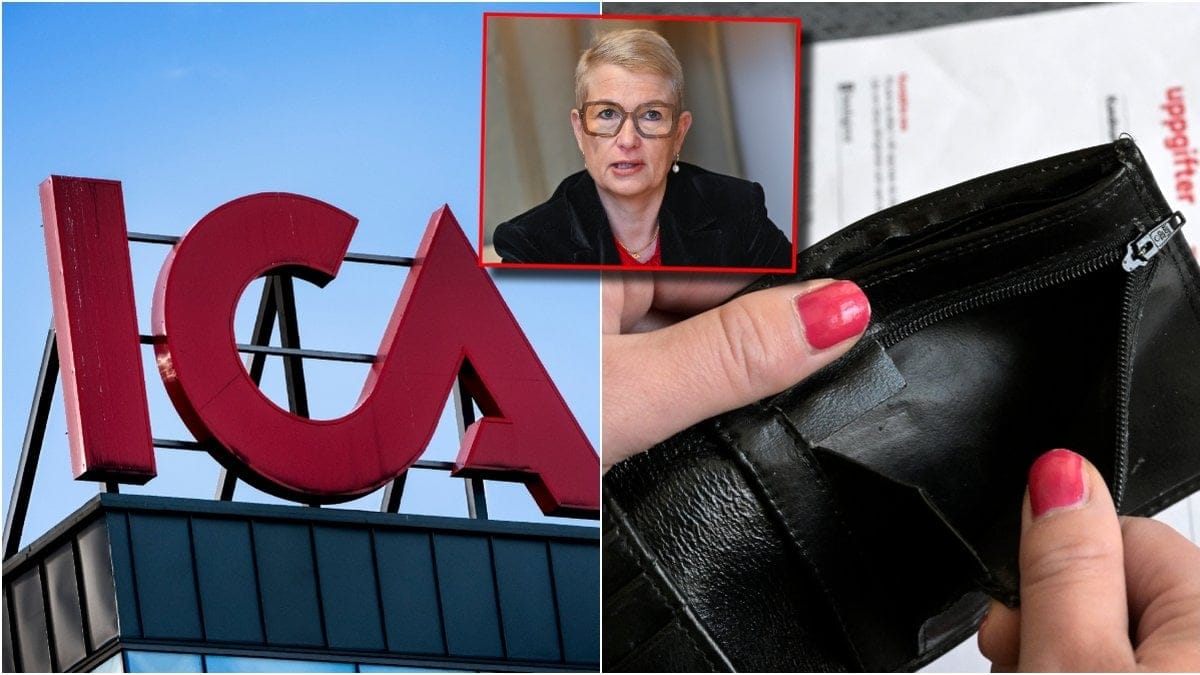 Ica, vd:n Nina Jönsson och plånbok.