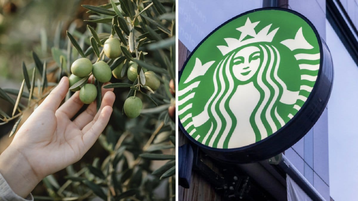 Den nya kaffevarianten har tagits emot med blandade åsikter.