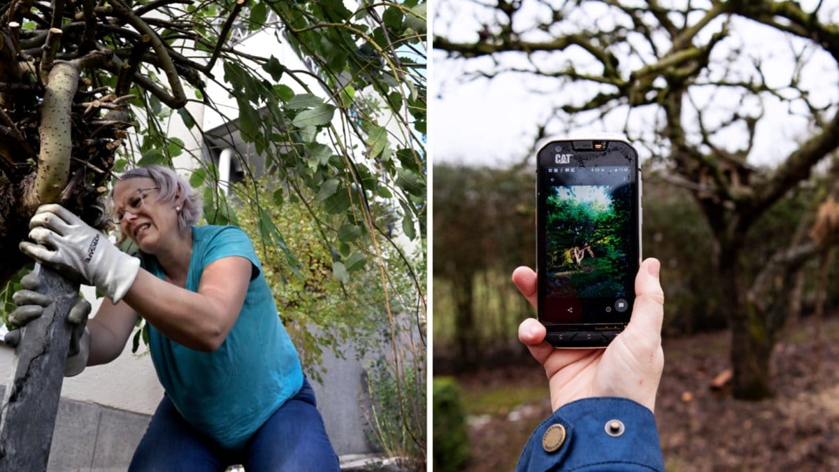 Vad är det som gäller för husägare under hösten?