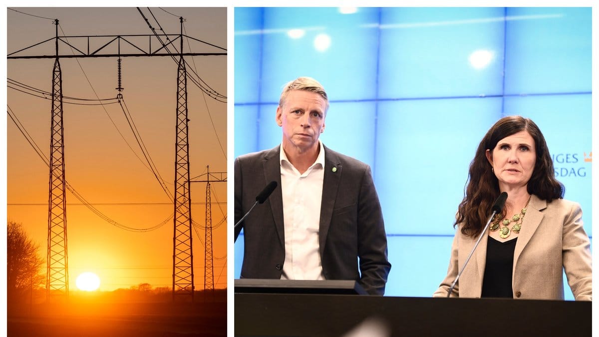 MP föreslår att staten ska stå för 80 procent av alla energieffektiviserande åtgärder.