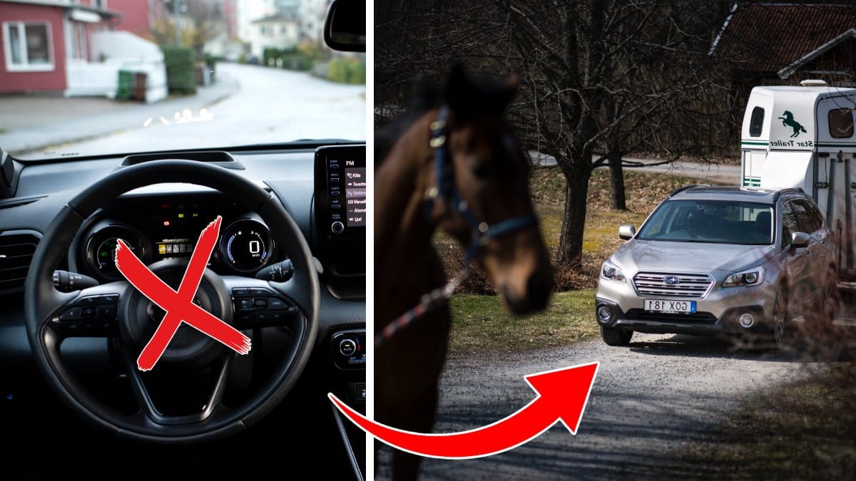 Tuta inte på djurtransporter - kan leda till olyckor.