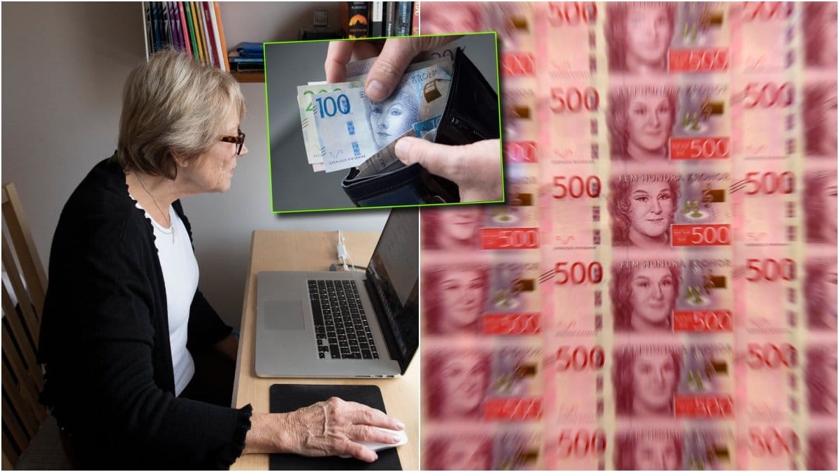 Kvinna vid dator, pengar och plånbok.
