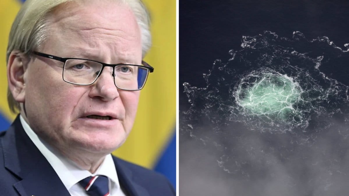 Försvarsminister Peter Hultqvist (S).