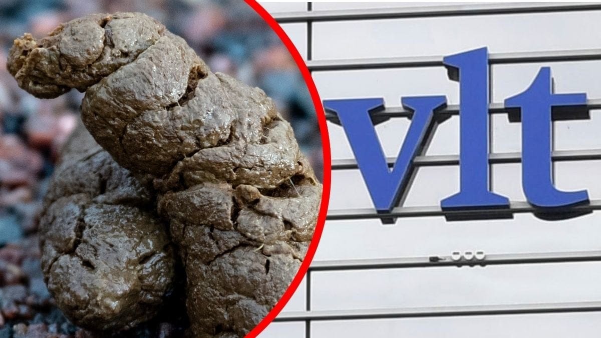 Bilder på bajs och VLT:s entré.