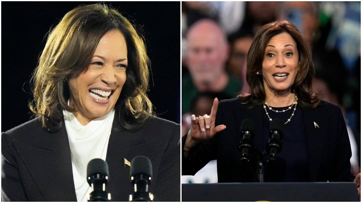Vad kommer egentligen att hända om demokraten Kamala Harris vinner presidentvalet i USA 2024? Nyheter24 har pratat med statsvetaren Henrik Ekengren Oscarsson för att ta reda på det.