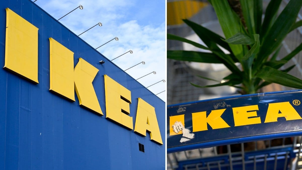 Bild på Ikeas varuhus och en kundvagn med en växt i.