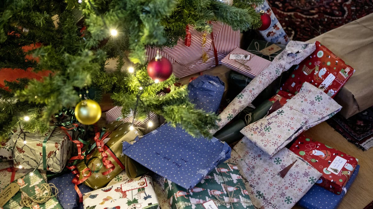 Det här är årets julklapp.