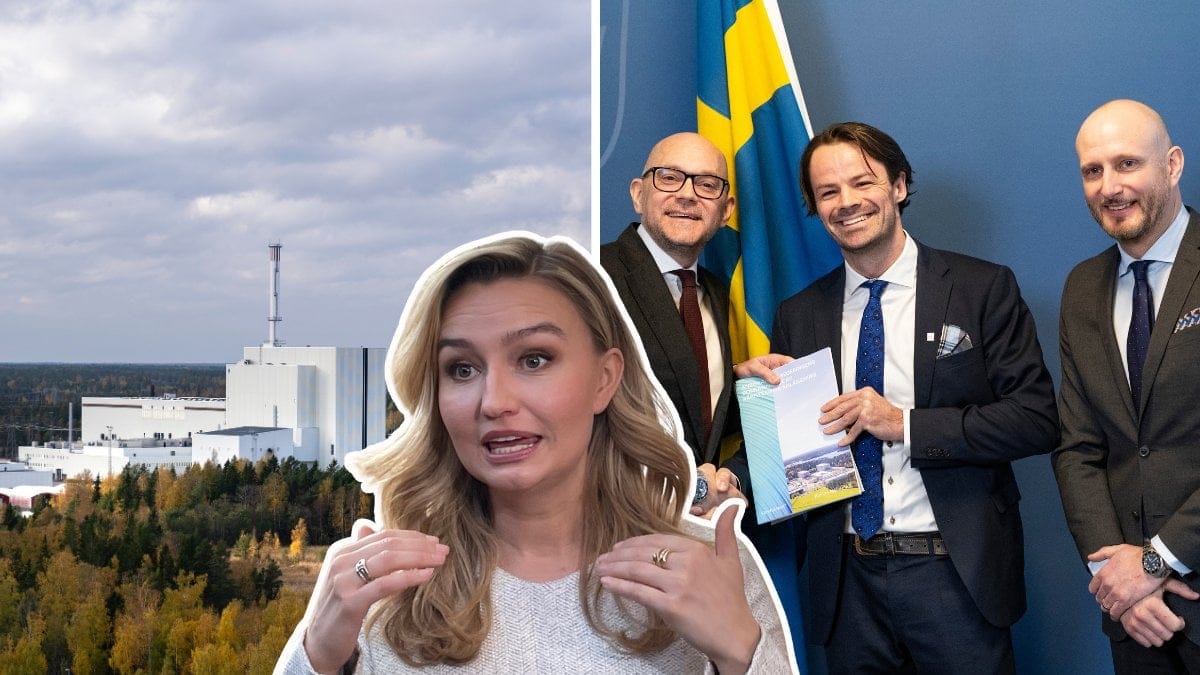 Politiker, kärnkraft, 