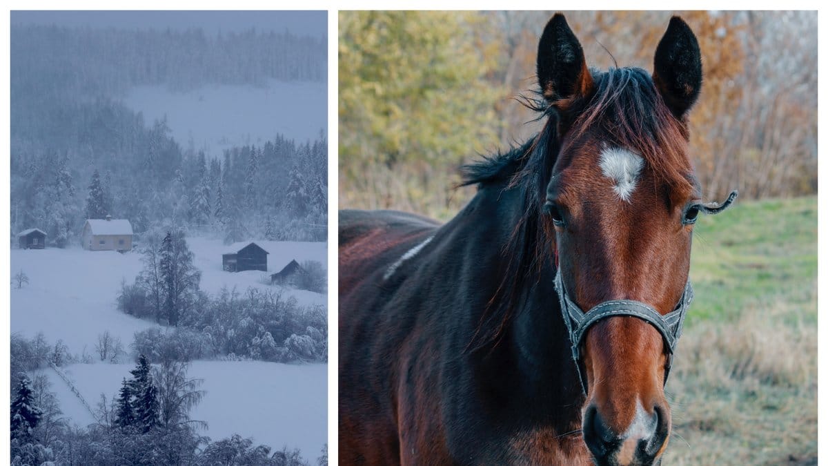 Hur ser man till att ens häst håller värmen vid ett strömavbrott?