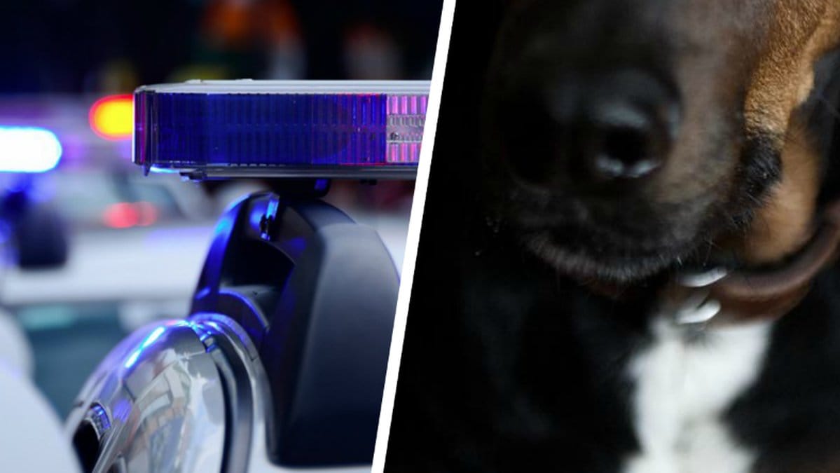 4-årige pojken avled av sina skador