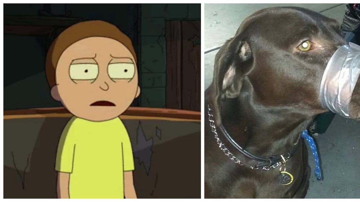 Djurplågeri Rick & Morty