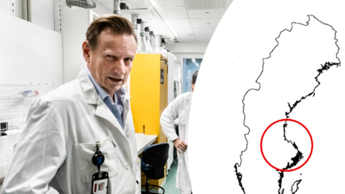 Professorn: Inte rätt att räkna coronadödsfall i per capita