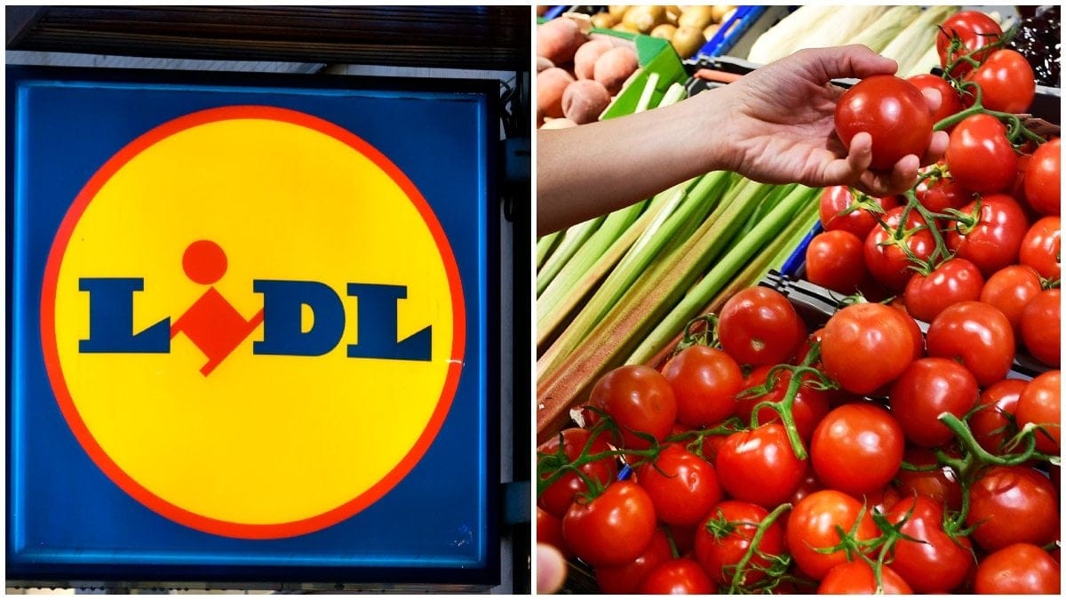 En skylt från Lidl och en grönsaksdisk med tomater.