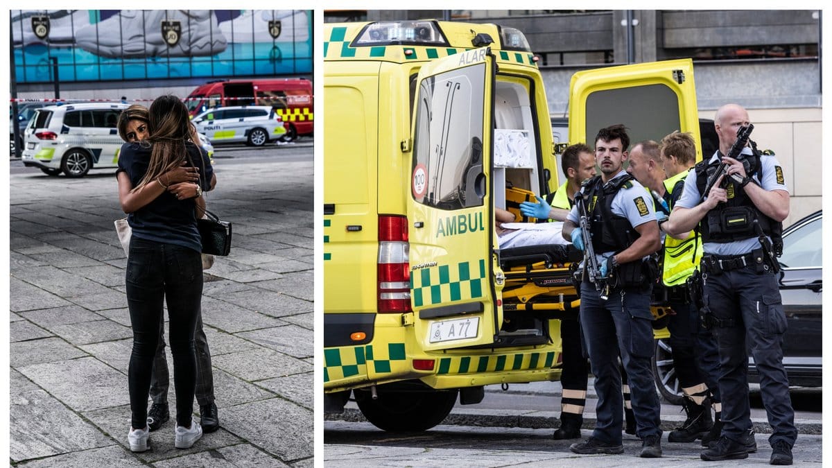 Skjutningen ägde rum på Fields köpcentrum på Köpenhamn.