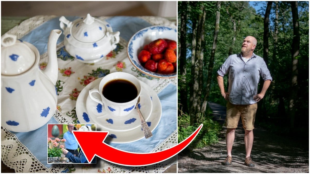 bild på en växt och en kopp kaffe 2025.