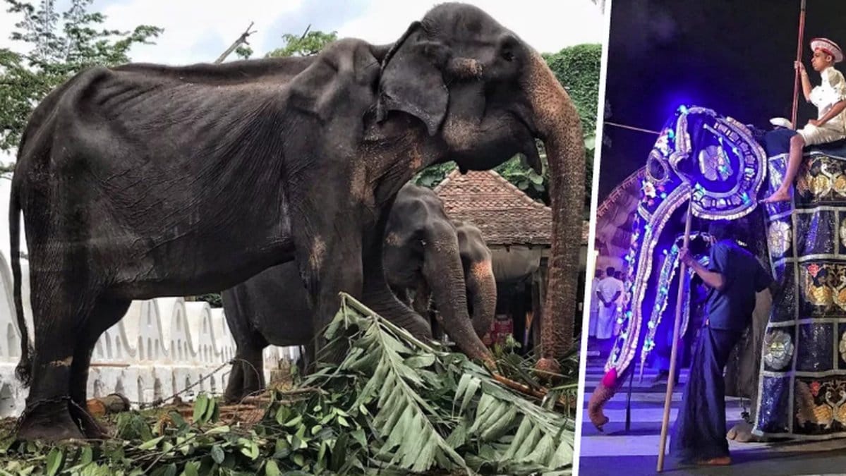 Sri Lanka