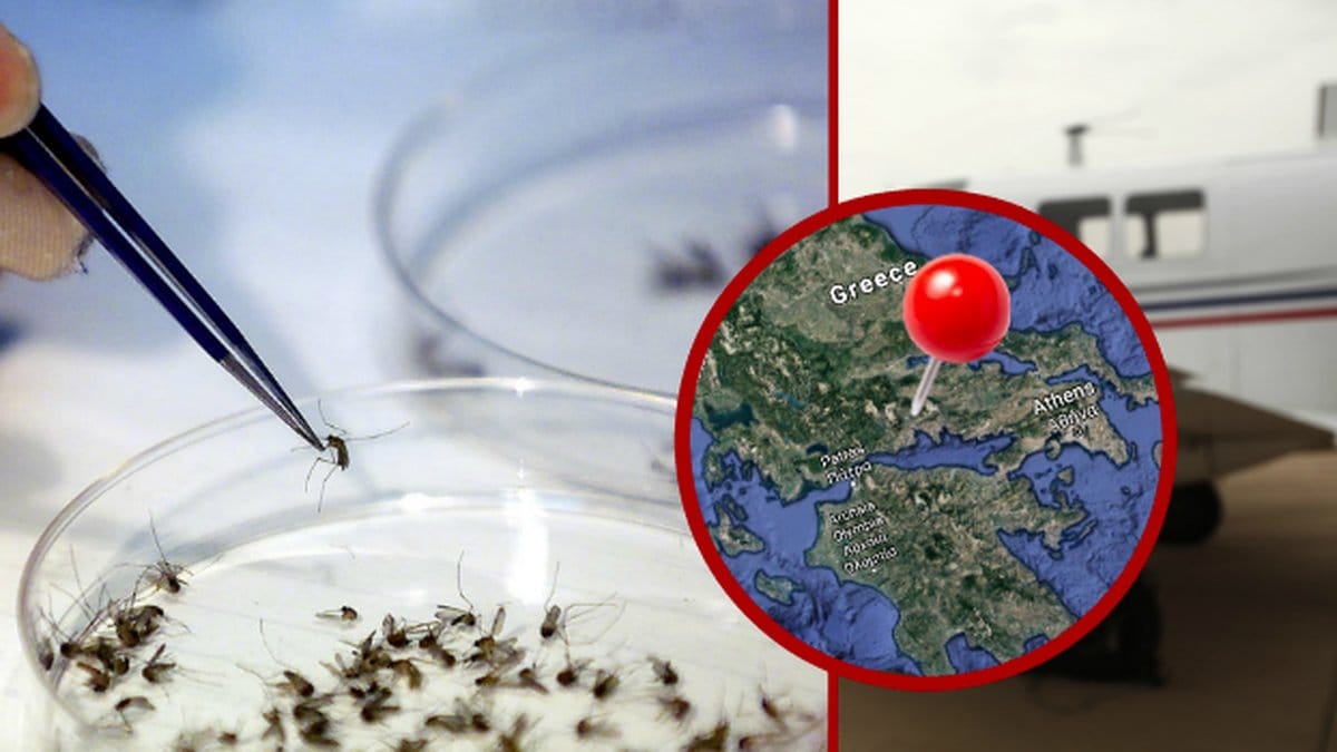 WEST NILE VIRUS