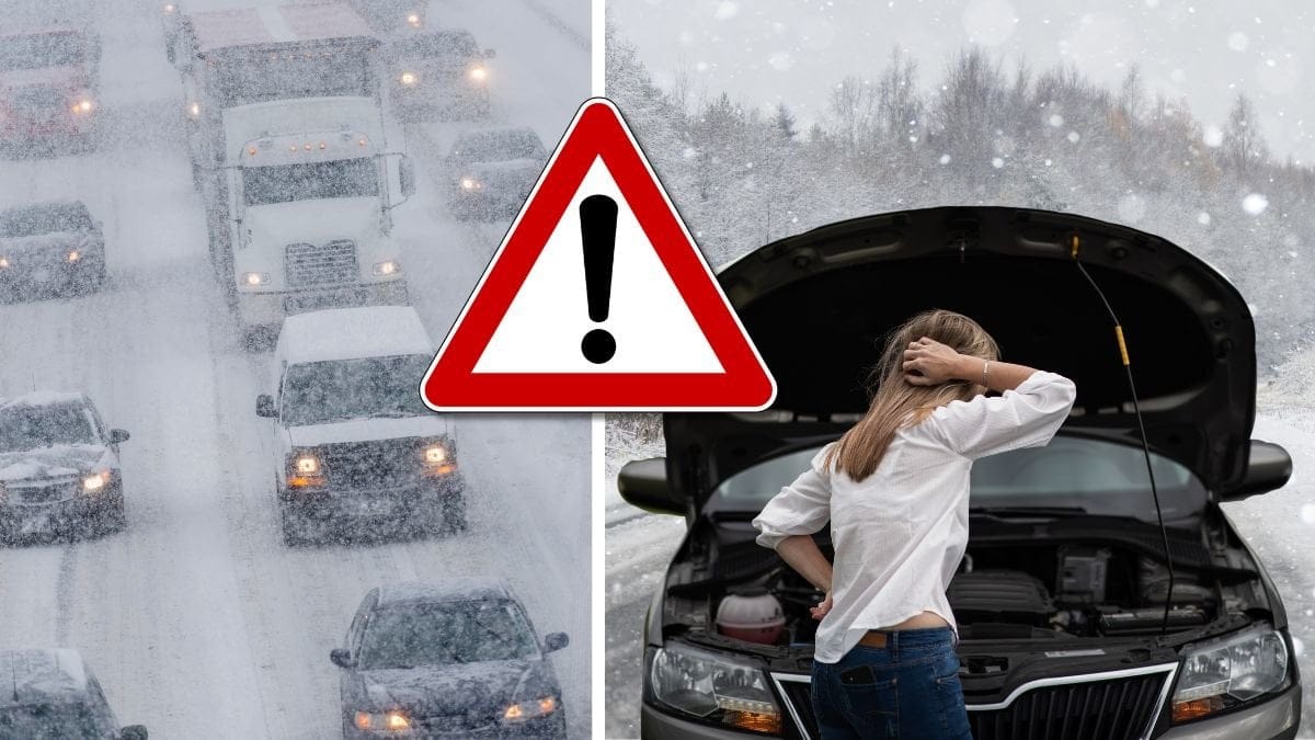 bilväg och motorhuv.