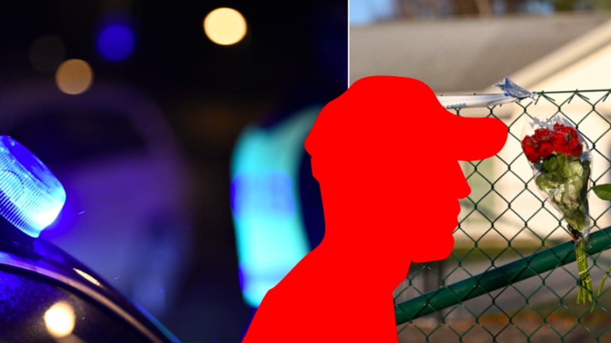 Den 20-åriga mannen erkänner brott.