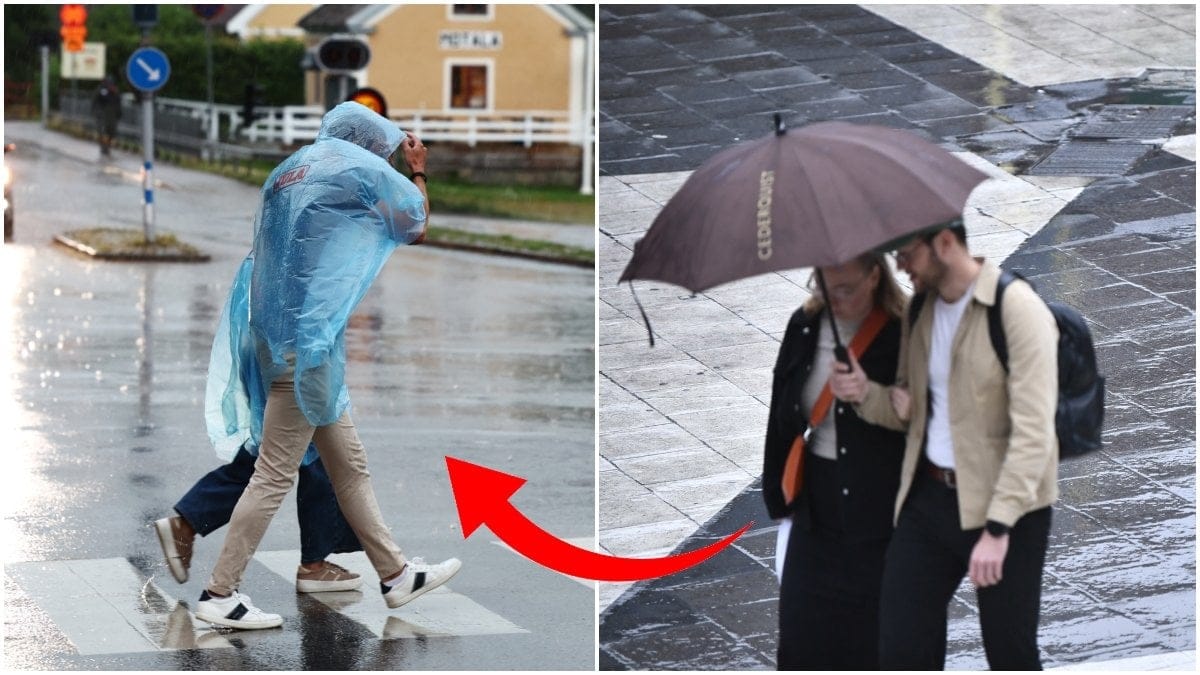 Väderprognos