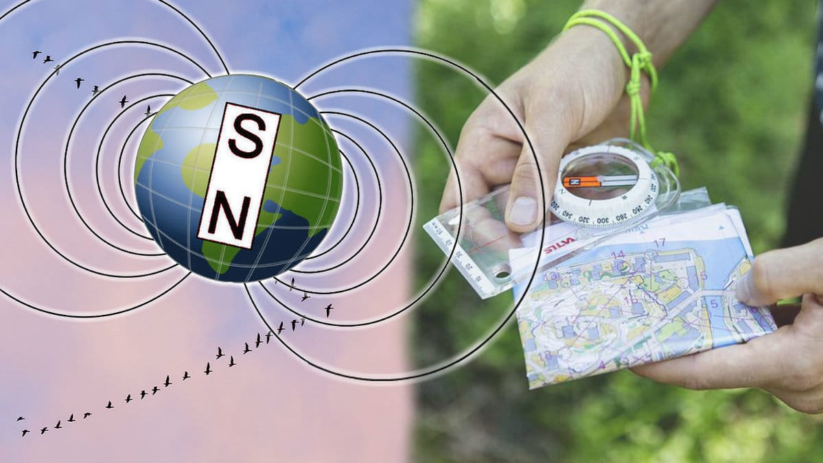 I framtiden kommer sydpolen och nordpolen byta plats.