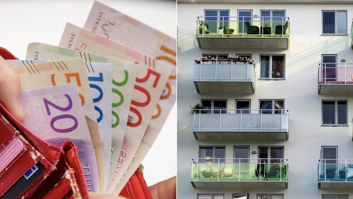 Finns det något djur som inte är okej att ha hemma om du bor i lägenhet? 