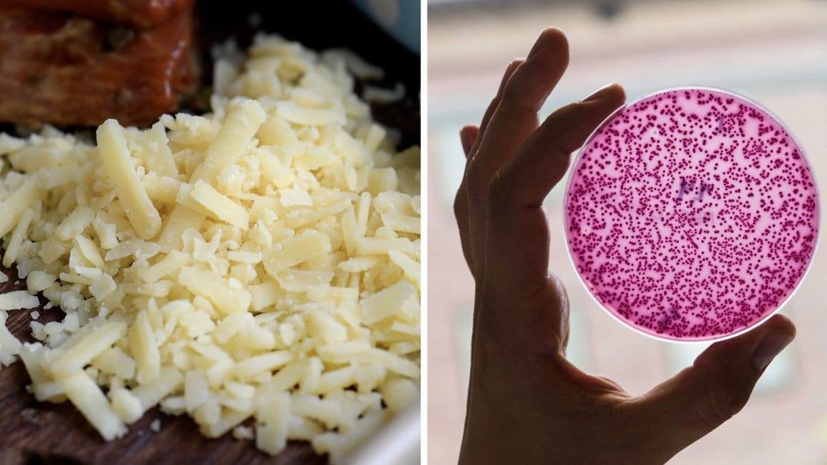 Ost återkallas – kan innehålla bakterier