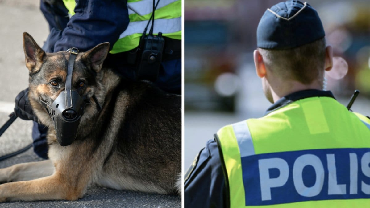 Polishunden svarade på polismannens skrik och bet den 40-årige mannens öra.