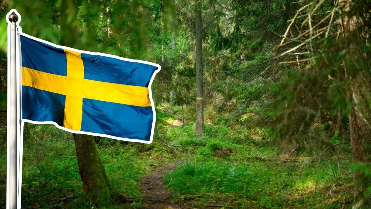 Svenska flaggan och en skog.