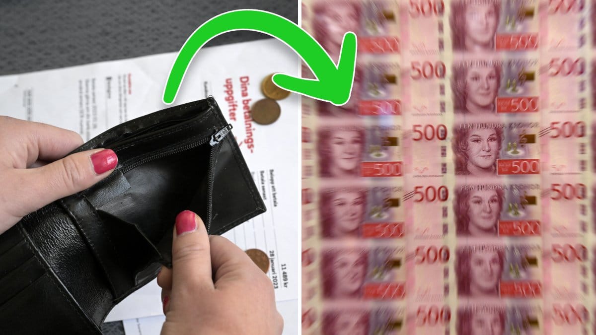 Nytt fritidskort till barn och ungdomar kan börja gälla i september 2025.