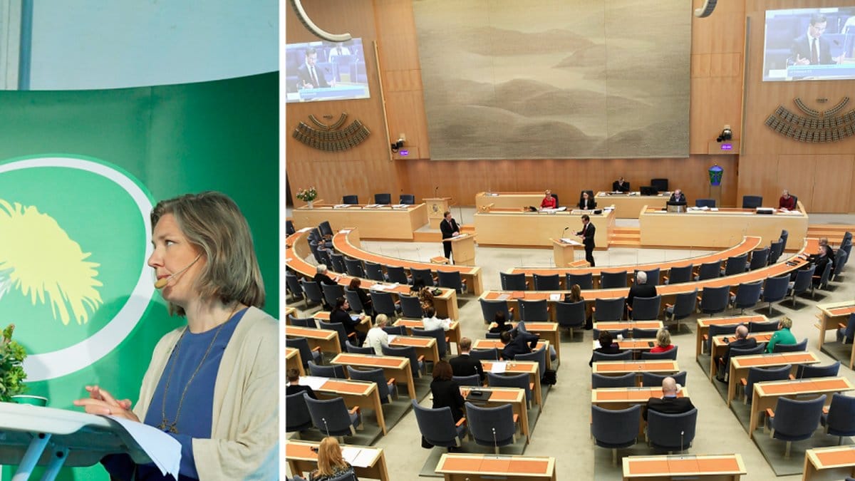 Nyheter24 har granskat hur mycket Miljöpartiets ledamöter tjänar.