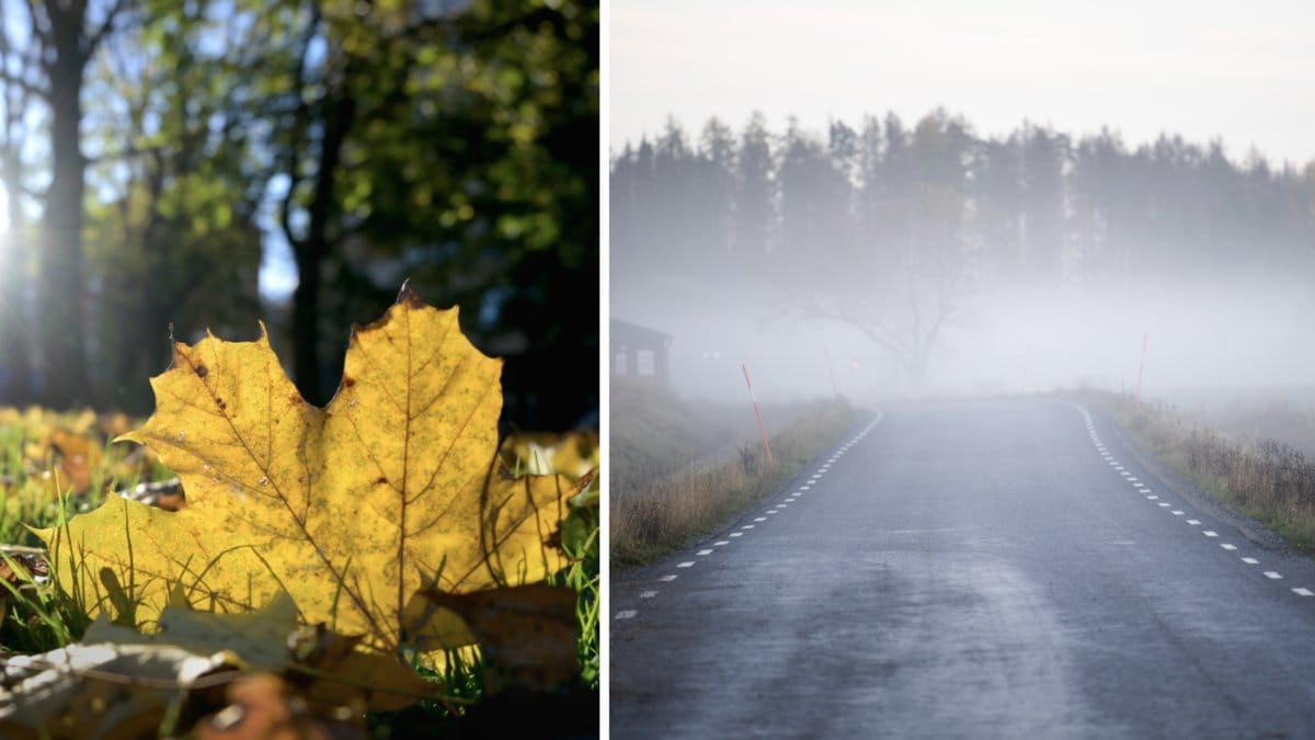 I dag är det höstdagjämning 2022 – har du koll på hur det funkar?