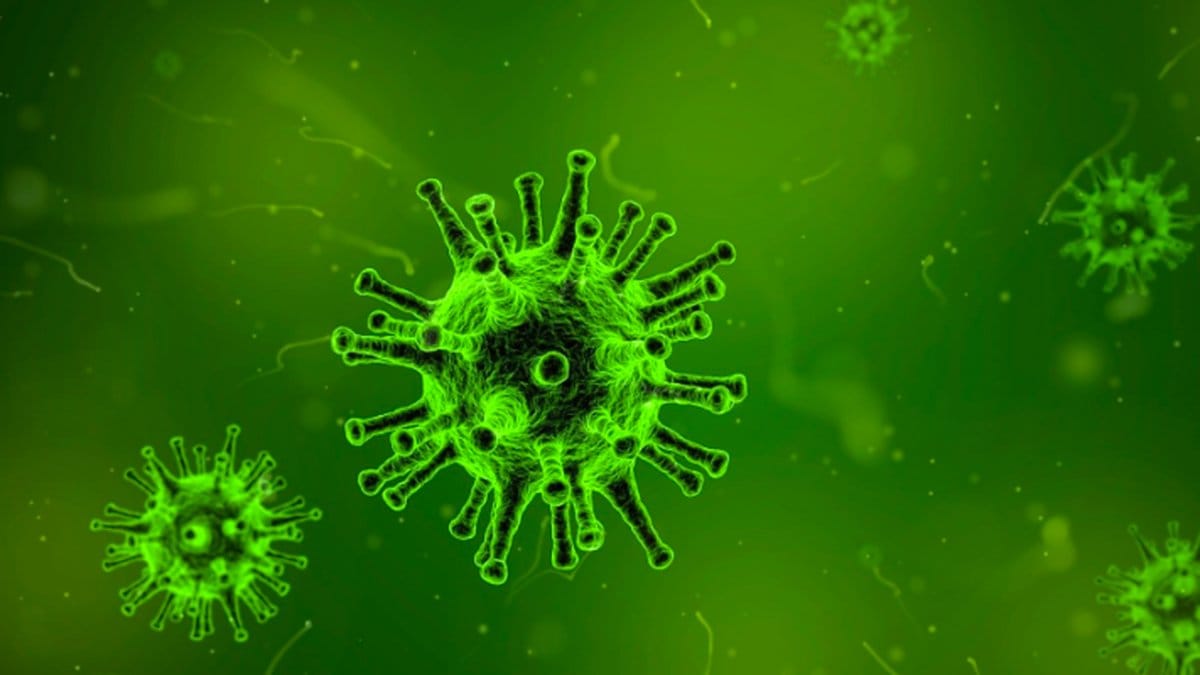 Nya varianten av covid-19 upptäckt i Sverige.