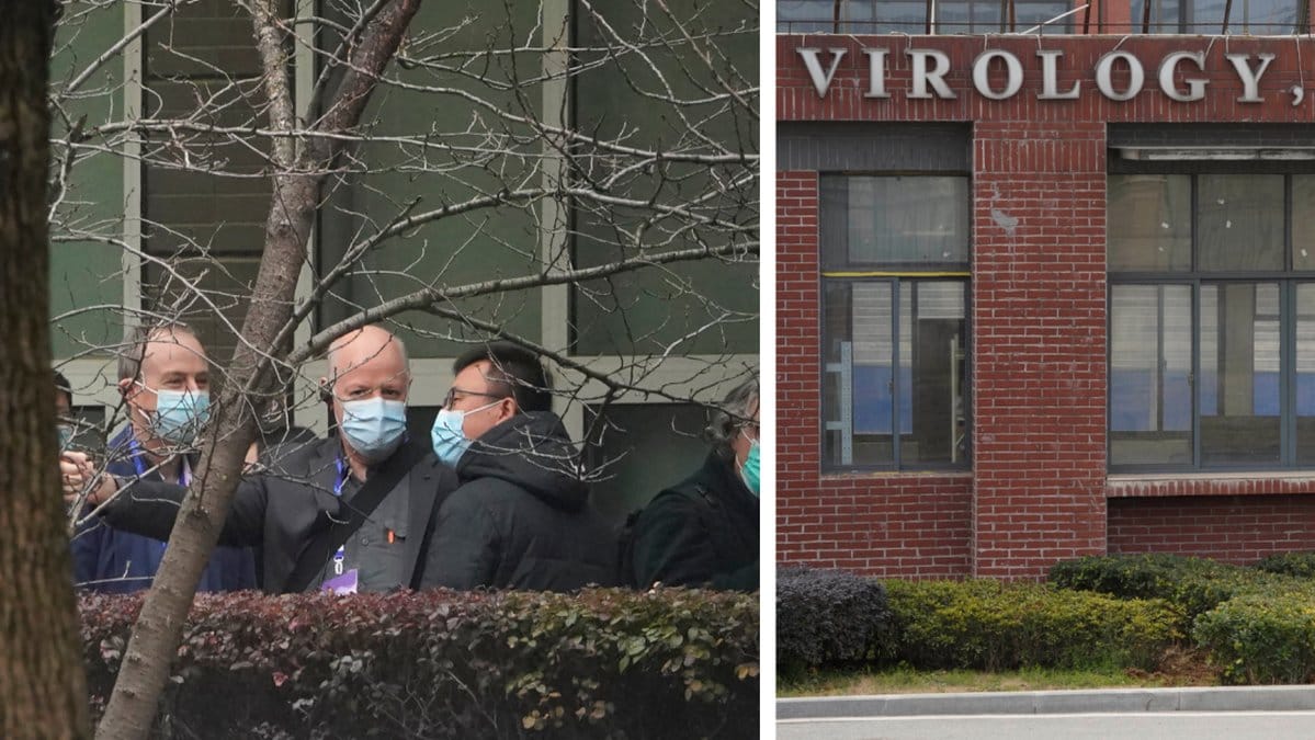 WHO utreder coronavirusets ursprung i Wuhan.